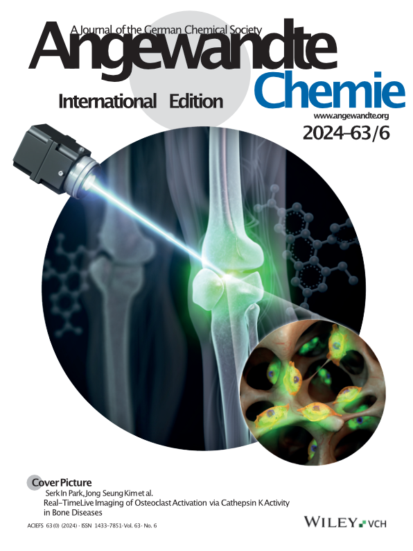 Angewandte Chemie Cover